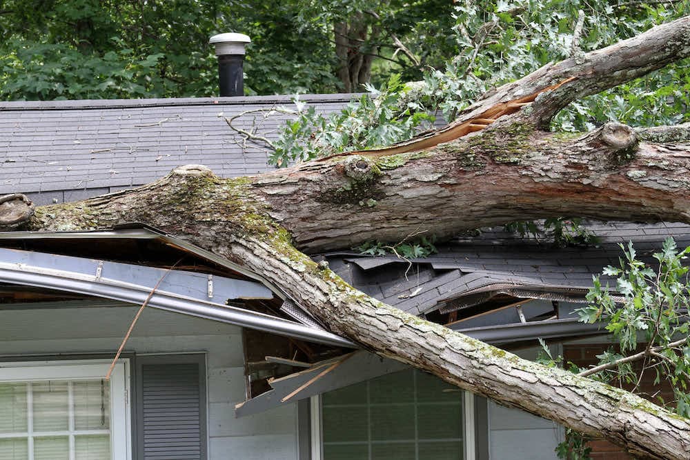 Insurance Claims